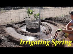 How Much Water in the Spring? + Q&A  | The Desert Farmer Podcast -  Episode 51