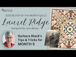 Block of the Month Quilt - Laurel Ridge - Month 5 - The Basket Block