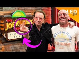 Bono on Joe Rogan: "Music is the Language of the Spirits; It's Worship"