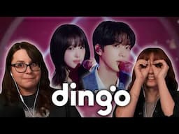 Jin (진) | Dingo LIVE Performance REACTION