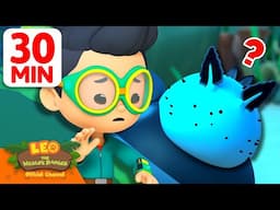 IT'S A POISONOUS SEA BUNNY! 🌊🐇 | 30 Min | Leo the Wildlife Ranger | #animals
