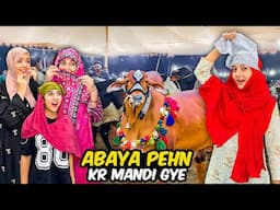 Qurbani Key Ke Liye Janwar  Khareed Lia 😍| Titu Wapis Agaya 😭| Sistrology