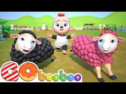 Baa Baa Black Sheep Song + More Newborn Baby Songs | GoBooBoo Kids Songs & Nursery Rhymes