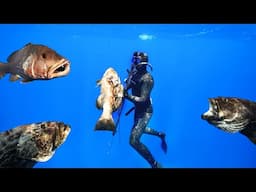 Hunting This Reef Was INSANE! | Grouper Spearfishing {Florida Keys} Catch N Cook