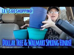 *ALL NEW* Dollar Tree and Walmart Car Haul!  | Spring Must Haves and Household Essentials