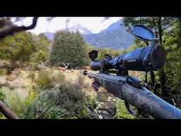 Mega Deer Ambush Hunt Success (8 days Solo Wilderness 2025)