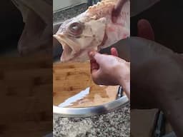 How to clean Red Tilapia #tilapia