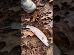 My Favorite Trout Recipe #fishing #shorts