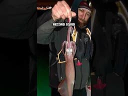Squid Fishing at Night in Rhode Island #squid #shorts