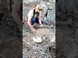$840 Bucks Simply Dug Out Of The Ground!