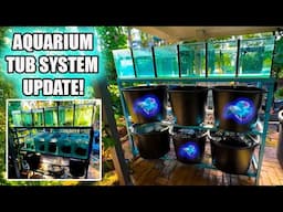 FISH ROOM SETUP: TUB SUMP UPGRADE!