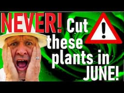 Never Cut these Plants Back in June  - Trim or prune