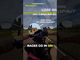 Elephant attacks Moped Rider