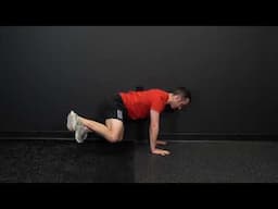 Quadruped Side Against Wall, Hip Car