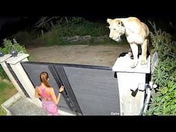 70 Luckiest People Caught on Camera