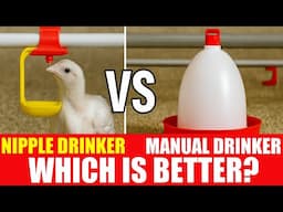 Nipple Drinker vs Manual Drinker: Which Is Better for Broilers?