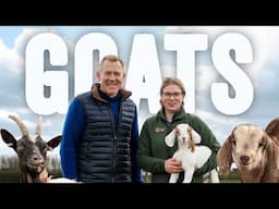 Thinking About Keeping Goats?