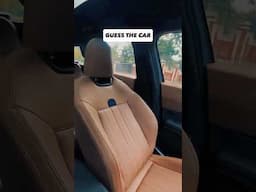 Can you GUESS THIS MINI?