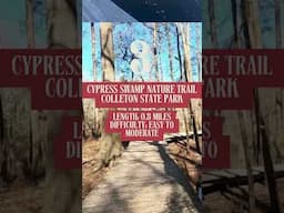 5 Easy Family Friendly Hikes in South Carolina