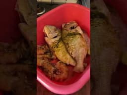 Traditional way to marinate your fish #shorts #villagelife #villagefood #food #cookingwithsindaco