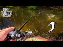 I Hooked Something BIG In This Pond...