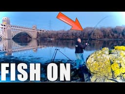 FISH ON + UNKNOWN SEA MONSTER MAKES A VISIT❗️WHAT WAS IT❓