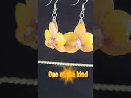 www.justonemoreorchid.biz#justonemoreorchid
