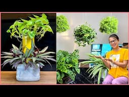 Low Budget Home Decorating Tips: Clever Ways to Recycle Plastic Bottles into Planters