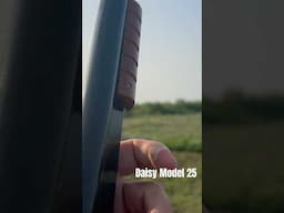 Daisy Model 25 BB gun. 38 meter shot at a can. (Feel free to check out the entire video on my page)