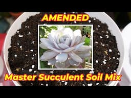 Amended Master Succulent Soil Mix & Plant Haul POT UP