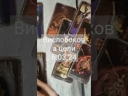 вислобокова цели