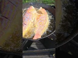 Cast Iron Snapper #fishing #fish #castironcooking #castiron #cooking #newsmyrnabeach #daytonabeach