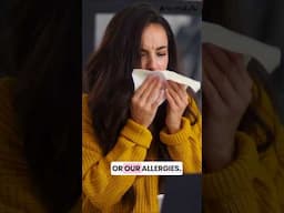 From Dust to Asthma: How Everyday Allergens Attack Your Lungs