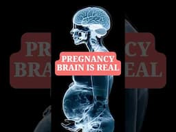 Yes, Pregnancy Brain Is Real! Here’s How It Changes Your Brain