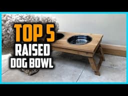 ✅Top 5 Best Raised Dog Bowl in 2025