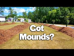 How to Build a Flood-Resistant Polyculture on Raised Mounds for Sustainable Farming