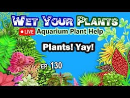 Growing Aquarium Plants and Pond Plants and Q&A and Such (WYP 130)