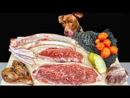 BEST ASMR MUKBANG PITBULL EATING RAW FOODS