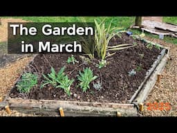 Relaxing Garden Vlog, March 2025