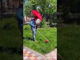 Smart Gardening Made Easy