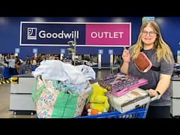 THRIFTING 50 ITEMS FOR $75! Thrift With Me in the Goodwill Bins!