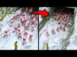 20 Weirdest Things Discovered In Alaska