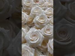 Handcrafted Paper Rose, Long stem paper rose gift for her