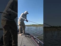 🎣 What's Your Favorite Bait To Flip? 🎣