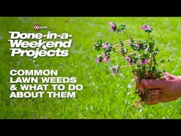 Common Lawn Weeds & What To Do About Them | Done-In-A-Weekend Projects | Exmark