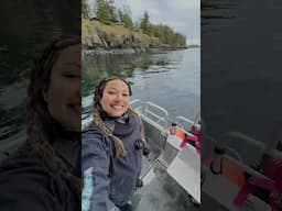 SCUBA DIVING IN CANADA?! 🇨🇦🤿 #scuba #britishcolumbia #diving