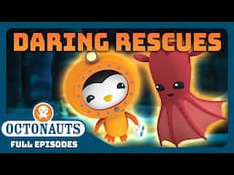 ​@Octonauts - 🦀 Dangerous Ocean Rescue Missions! 🦑 | 30 Mins+ Full Episodes Marathon