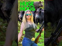 Lori’s HOG HUNT Goes WILD!
