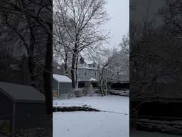 We finally got snow! #garden