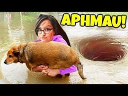 6 YouTubers Who SAVED ANIMALS LIVES! (Aphmau, Unspeakable, MrBeast)